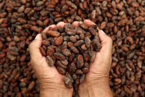 cacaotribe-1